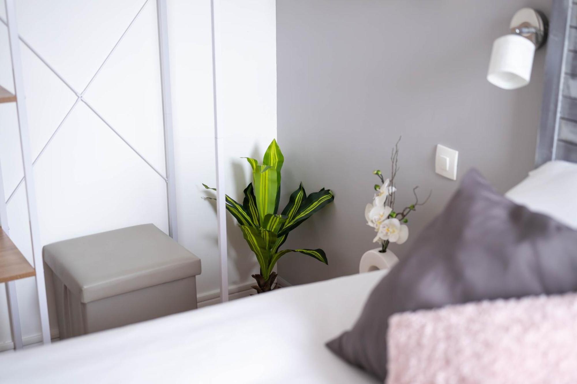 Appartement Cosy 6 Pers Pres Du Lac Avec Garage アヌシー エクステリア 写真